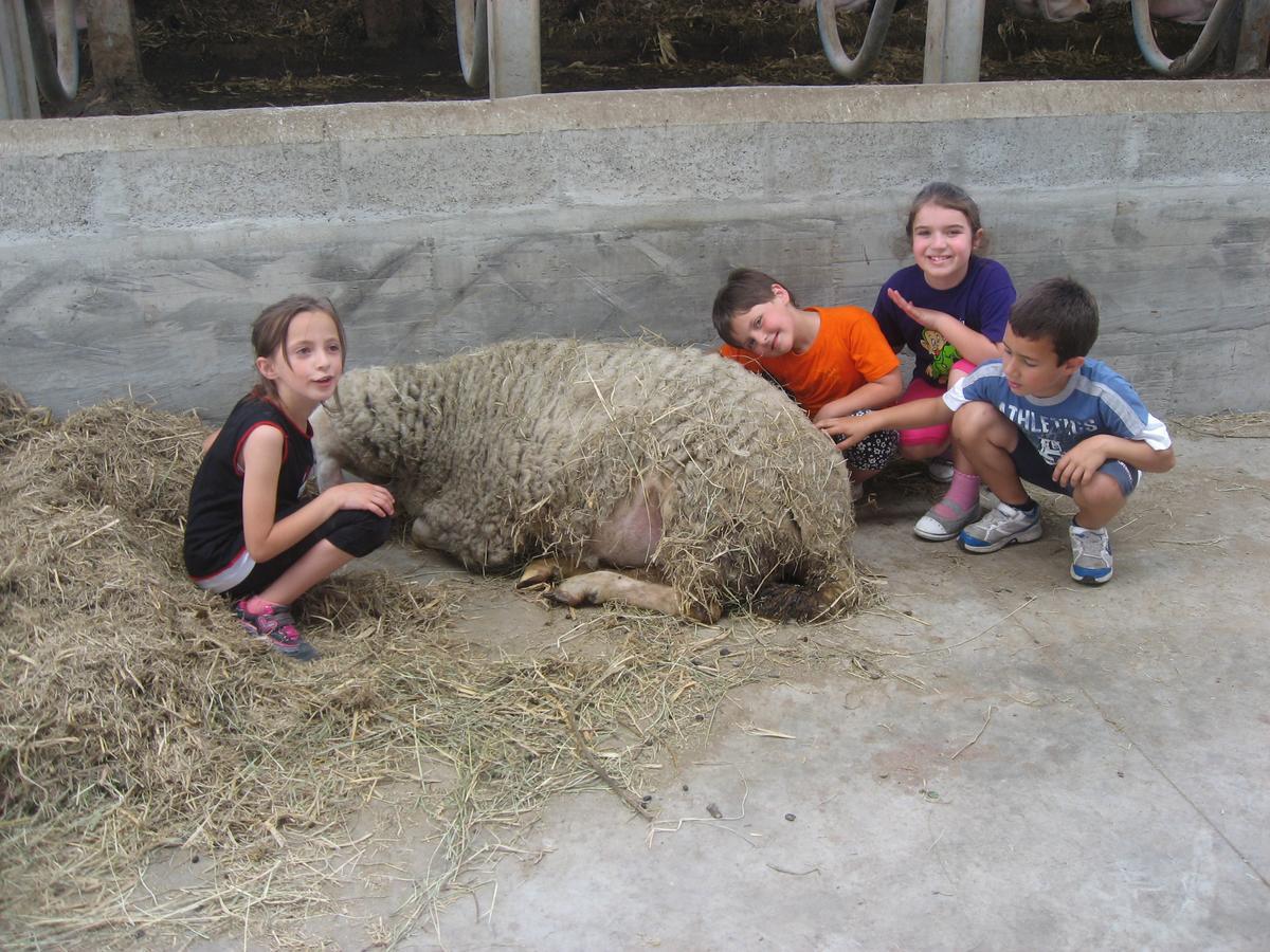 באזיליו Agriturismo Le Risaie מראה חיצוני תמונה