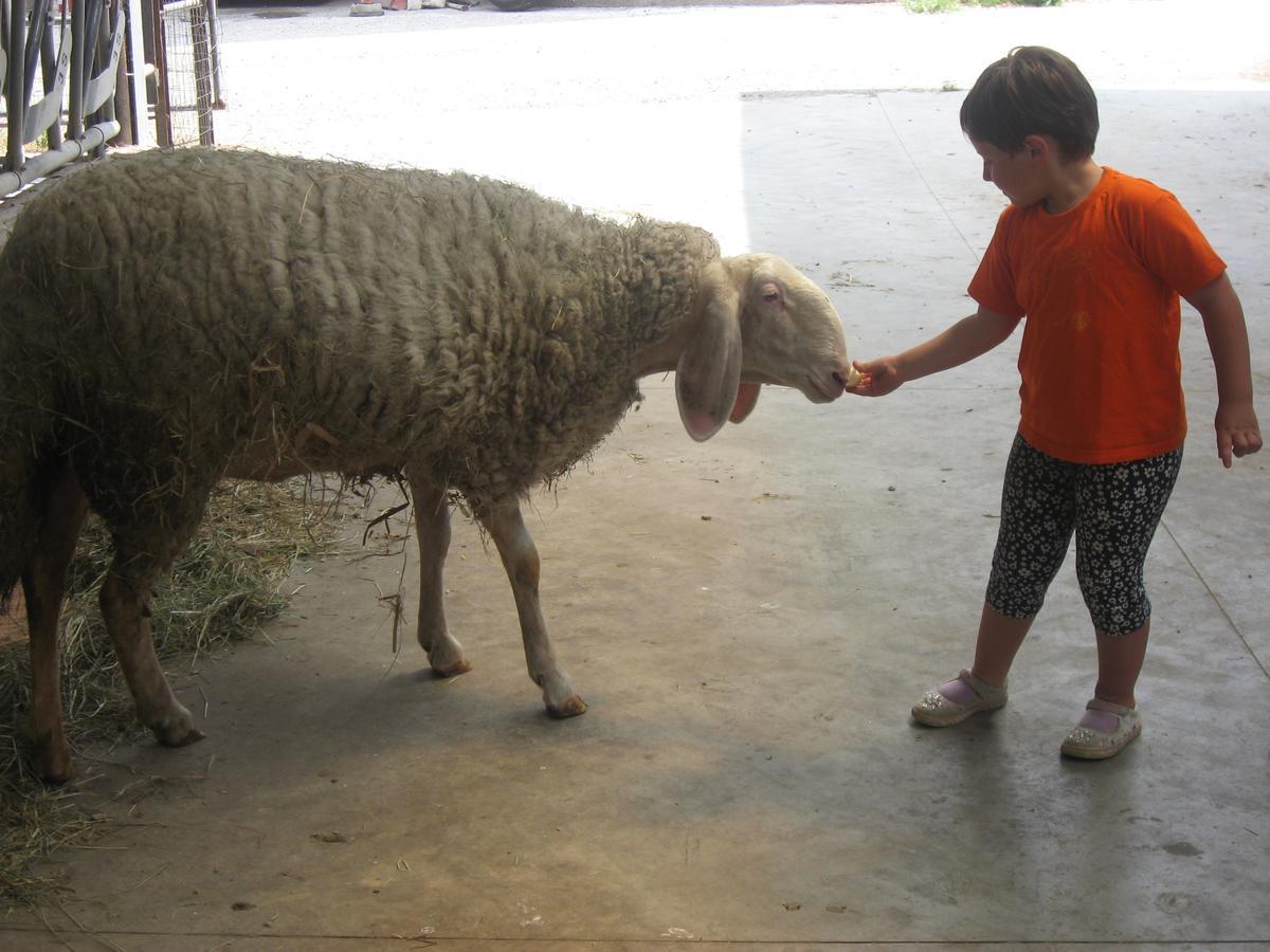 באזיליו Agriturismo Le Risaie מראה חיצוני תמונה